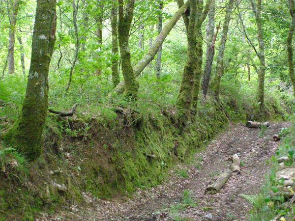 El camino del norte El camino del norte